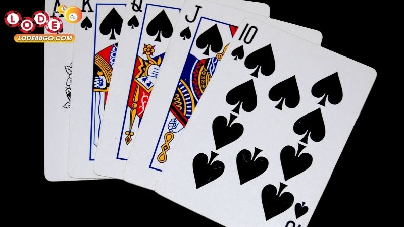 Game Bài Sâm Lốc: Khám Phá Luật Chơi, Kinh Nghiệm 3 Game Bài Sâm Lốc