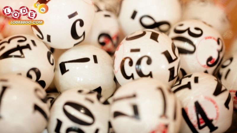 Lô Gan Bạc Liêu: Bí Quyết Nhận Diện, Cách Bắt Và Kinh Nghiệm 1 Lô Gan Bạc Liêu